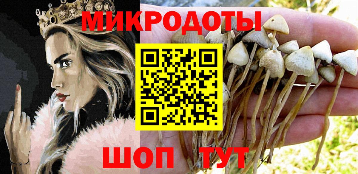 Галлюциногенные грибы Magic Shrooms  Вход с VPN  Санкт-Петербург 