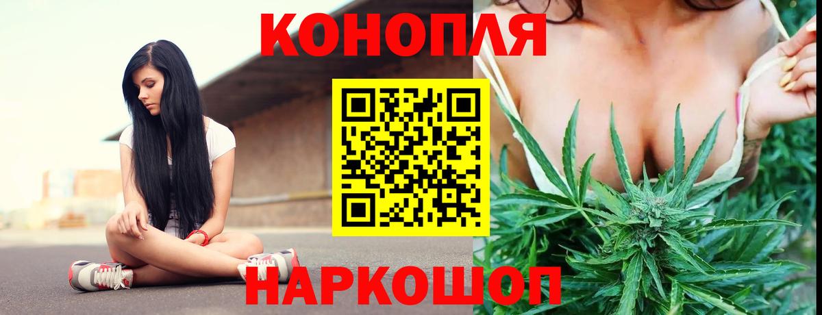 Бошки марихуана гибрид Санкт-Петербург